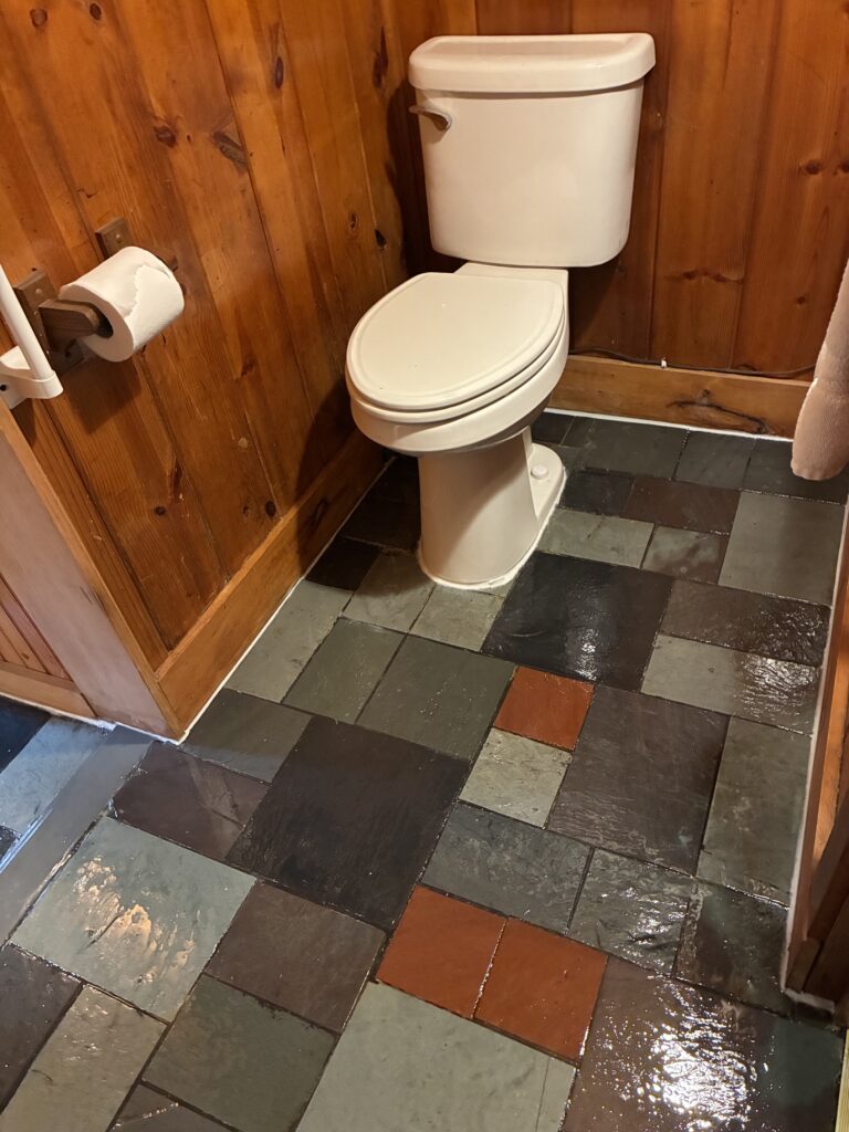 Slate Floor Refinishing and Toilet Replacement in Varysburg — new toilet installation